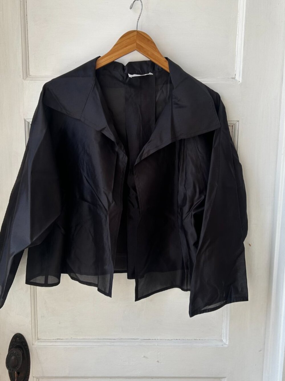 Zoran 100% Silk Organza Jacket - Picture 9 of 9